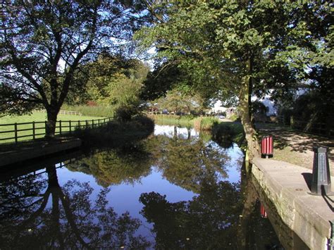 Ripon Canal dog walk, North Yorkshire - Driving with Dogs