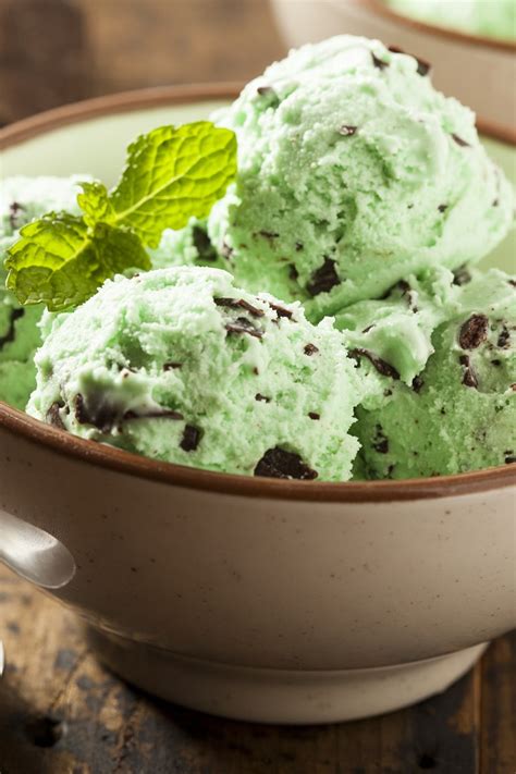 Easy Mint Chocolate Chip Ice Cream Recipe — Dishmaps