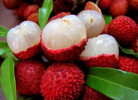 Lychee fruit - Incredible Benefit for Health and Body, Nutrition facts