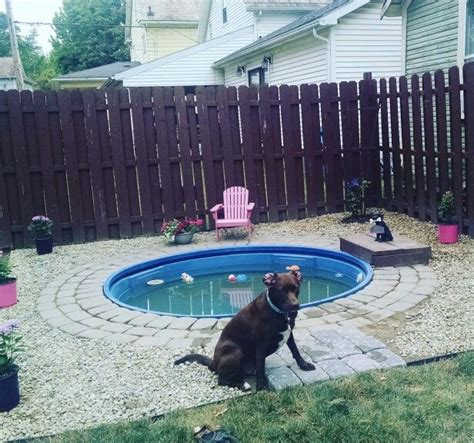 Stock tank swimming pool | Dog pool, Dog swimming pools, Diy dog stuff