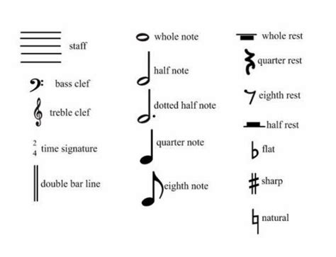 Beginning music symbols | Music note symbol, Music signs, Music notes