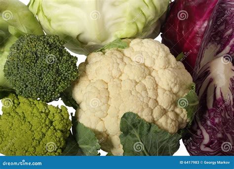 Cabbage varieties stock image. Image of variety, brassica - 6417983