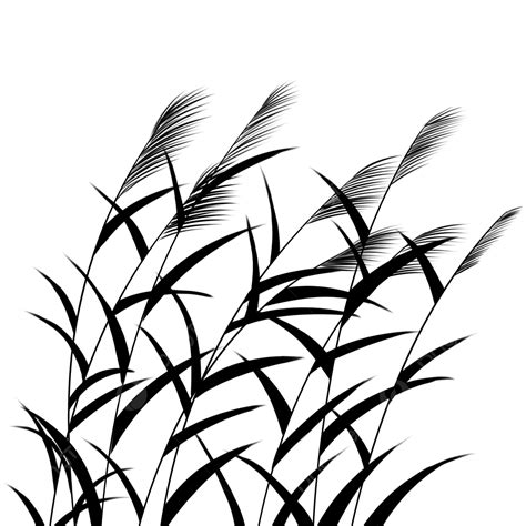 Reeds Silhouette PNG Transparent, Reed Silhouette, Silhouette Drawing, Silhouette Sketch, White ...