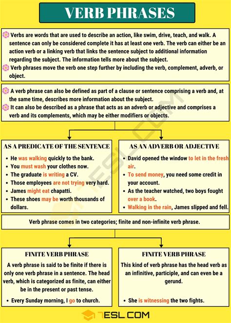 Verb Phrase: Definition, Functions and Useful Examples • 7ESL