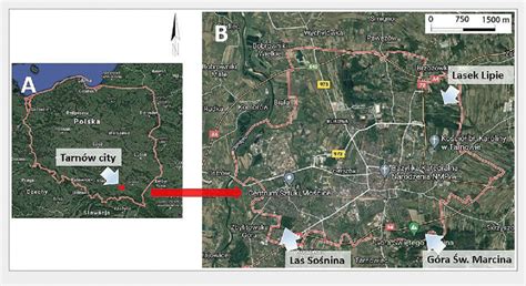 -(A) Location city of Tarnów in Poland, and (B) location of the urban... | Download Scientific ...