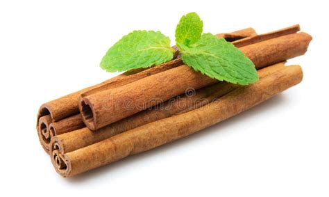 Cinnamon with mint stock photo. Image of herb, isolated - 17875202