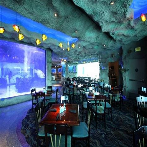 Downtown Aquarium Restaurant - Houston, TX | OpenTable