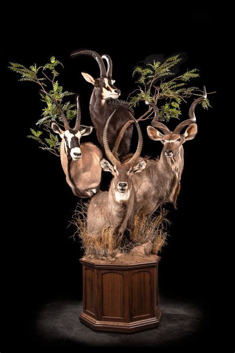 13 best Pedestal Mounts images on Pinterest | Taxidermy, Trophy rooms and Africa