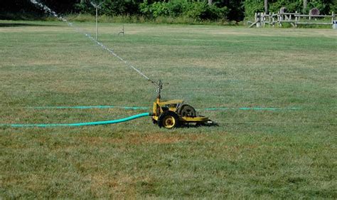 Best Lawn Sprinkler: Oscillating, Rotary, Stationary, or Traveling Types - Epic Gardening