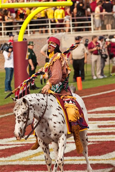 Seminoles Mascot at FSU football game. | Fsu football, Fsu football ...