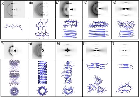 Figure 3 from The common architecture of cross-beta amyloid. | Semantic ...