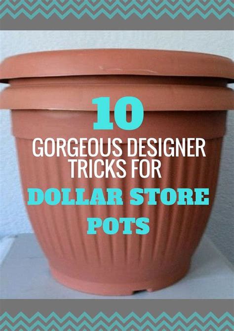 Here Are 10 Gorgeous Designer Tricks for Your Dollar Store Pots - Gardening Viral