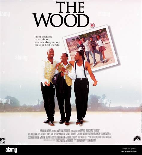 FILM POSTER, THE WOOD, 1999 Stock Photo - Alamy