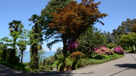 Batumi Botanical Garden