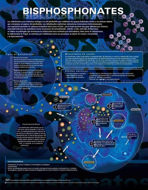 Bisphosphonates – Anejo