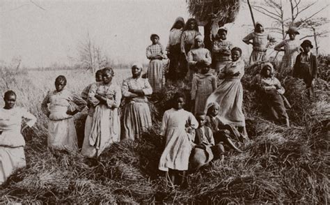 Rice Culture — Gullah Museum of Georgetown