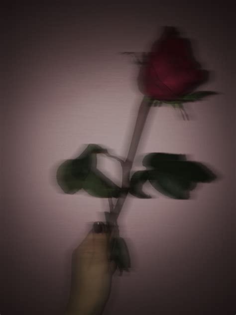 Aesthetic Rose Wallpaper - #wallpaper #rose #flowers #phone #simple #aesthetic #iphone ...