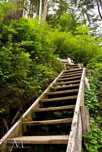 Beaver Lake Trail | ALASKA.ORG