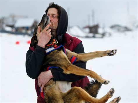 French musher was leading Iditarod, but then his dogs quit | The Seattle Times