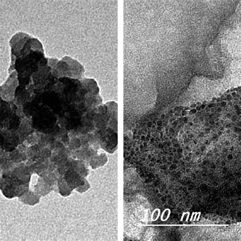 FTIR spectra of pure chitosan and prepared chitosan nanoparticles. | Download Scientific Diagram