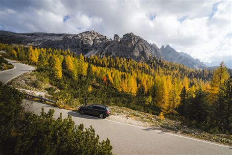 The Best Fall Colors in Mammoth Lakes - ASO Mammoth