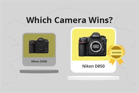 Nikon D500 vs D850 (Which is Better in 2024?)