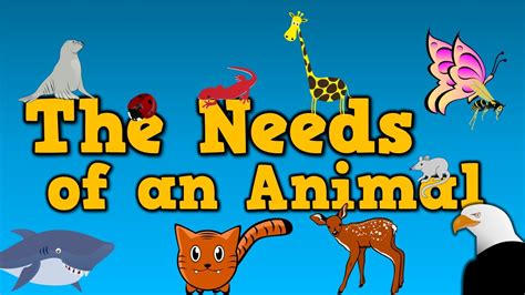 The 5 Basic Needs Of Animals - Lessons - Blendspace