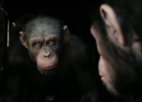 New Rise Of The Apes Footage Looks Amazing [VIDEO]