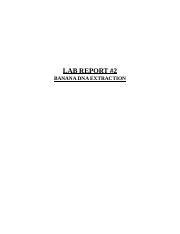 Banana DNA Extraction Lab Report.docx - LAB REPORT #2 BANANA DNA EXTRACTION SAFETY: The products ...