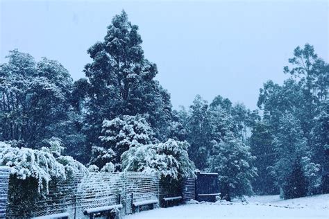 Snowfalls around Tasmania bring late winter wonderland to life - ABC News