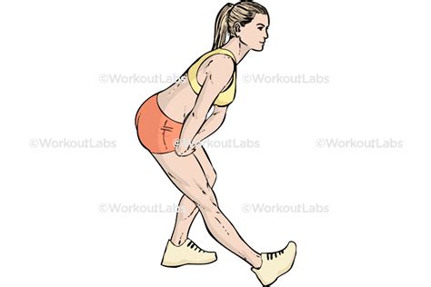 Standing Hamstring Stretch – WorkoutLabs Exercise Guide