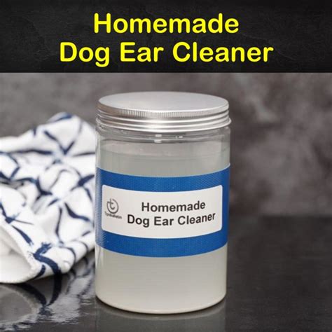 5 Homemade Dog Ear Cleaner Recipes