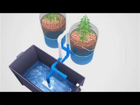 Super Simple Ebb & Flow Hydroponics System - YouTube