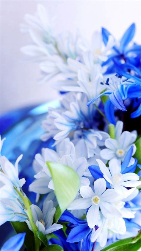 Blue White Flowers Wallpaper iPhone - 3D iPhone Wallpaper