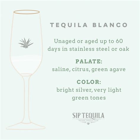 Complete Guide to Blanco Tequila