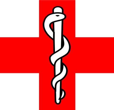 Download Rod Of Asclepius File - Asclepius Staff Medical Symbol PNG Image with No Background ...