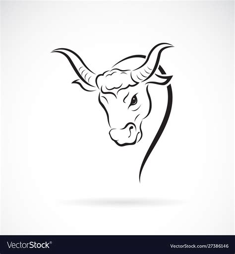 Bull head design on white background wild Vector Image