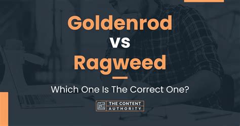 Goldenrod vs Ragweed: Which One Is The Correct One?