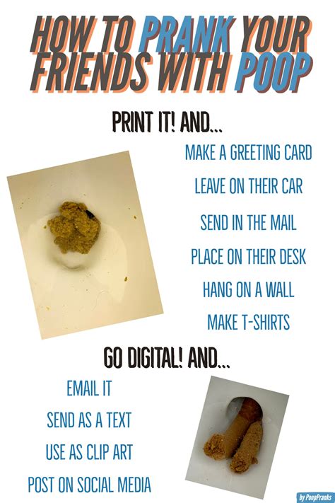 Poop Prank Prank Mail Poop for Sale Poop Text Message - Etsy Canada