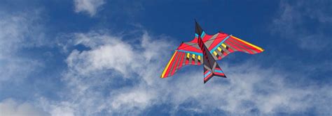 Creative Kite Designs - Buy at Into The Wind Kites