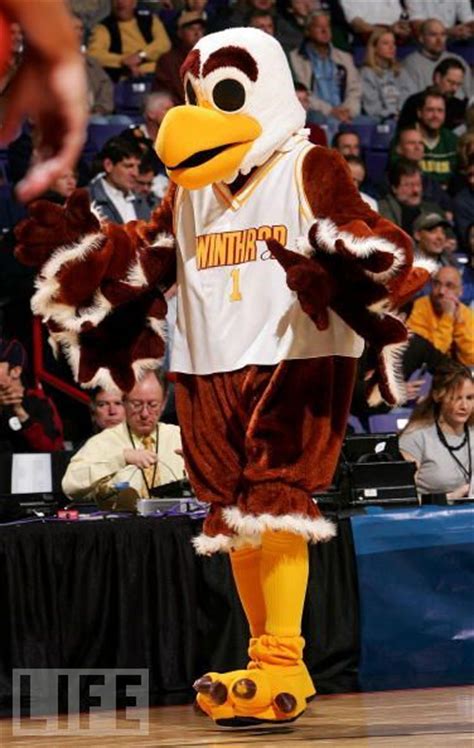 Big Stuff, Winthrop Eagles mascot | Mascot, Winthrop university, Winthrop