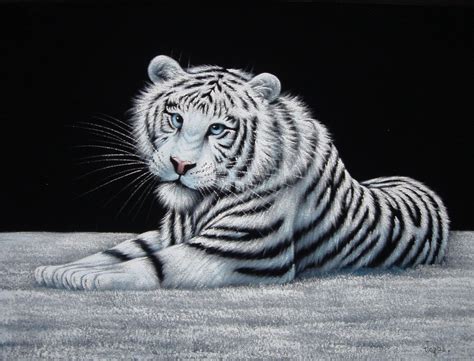 White tiger black velvet oil painting handpainted signed art | Oil painting, Tiger art, Sign art