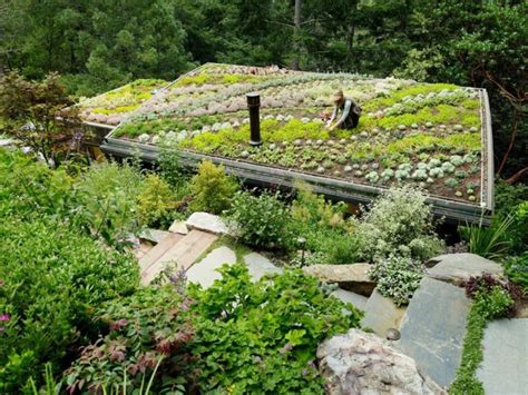 Attractive Flowers Park on Roof - Garden Design by Feldman Architecture | Green roof garden ...