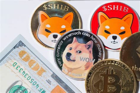 Dogecoin And Shiba Inu Values Plummet Hard Over The Last 7 Days