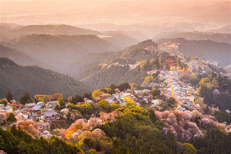 Travel Japan: Where to See Cherry Blossoms in Nara | Tokyo Weekender