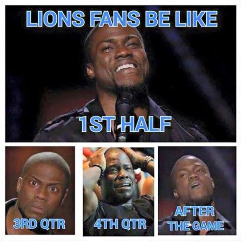 Poor Lions Fans | Detroit lions funny, Lion memes, Detroit lions football