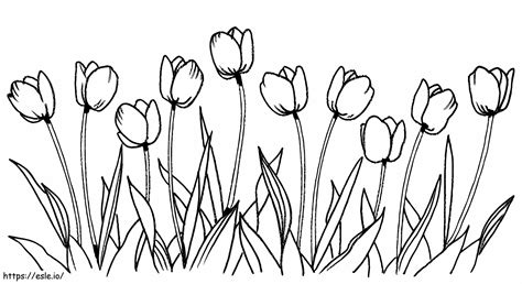 Big Tulip coloring page