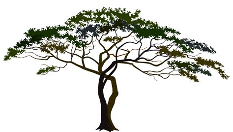 Savannah Tree PNG Clipart Image | Clip art, Clipart images, Tree clipart