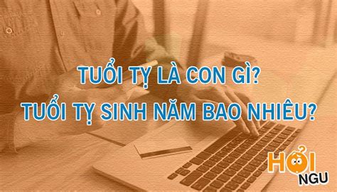 Tuổi Tỵ là con gì? Người tuổi Tỵ sinh năm bao nhiêu? - Cửu Long Real