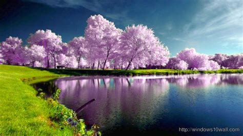 Spring Backgrounds Hd Wallpaper - windows 10 Wallpapers